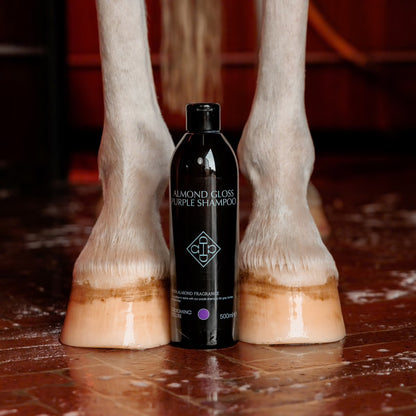 Kentucky Grooming Deluxe Almond Gloss Purple Shampoo