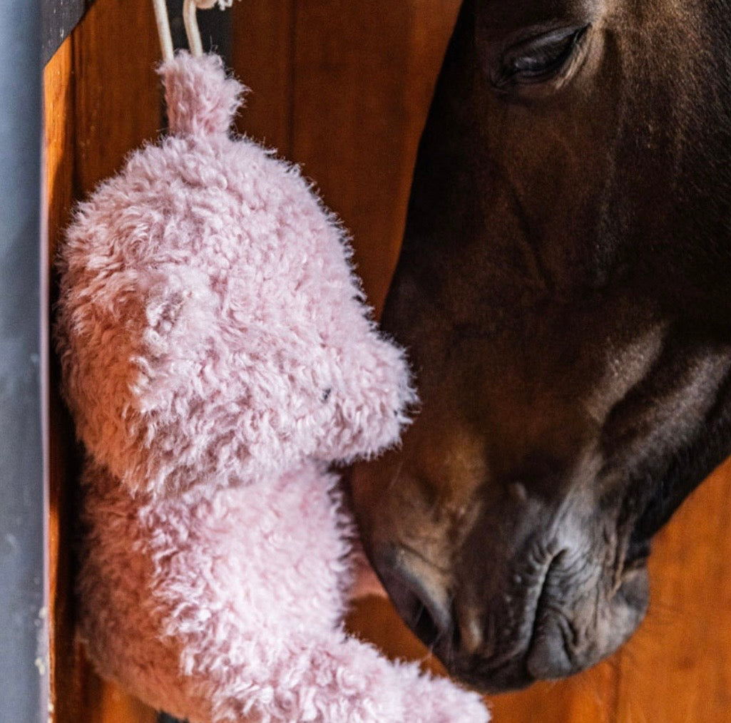 Kentucky Relax Horse Toy Bear