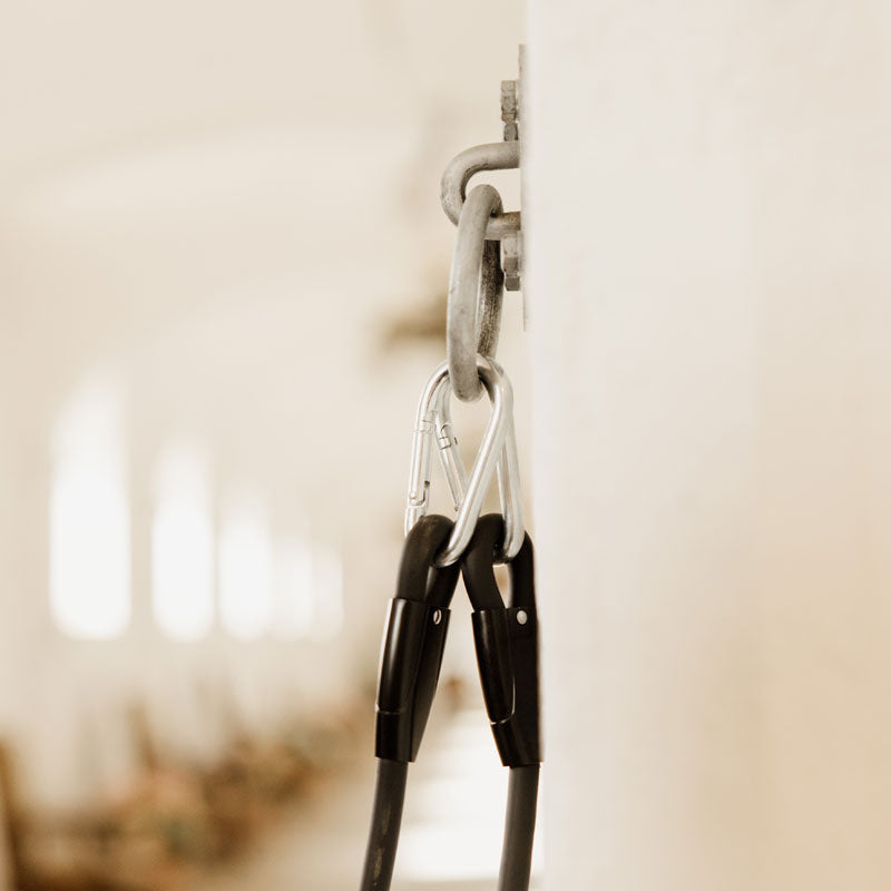 Kentucky Horse Box lead &amp; Cross Ties Silicone