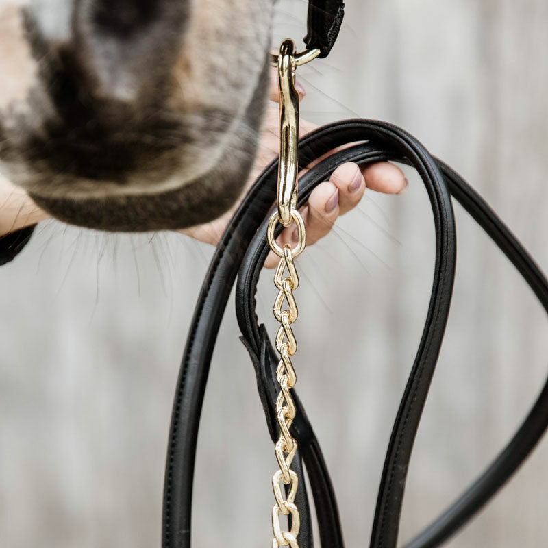 Kentucky Horsewear Leather Lead Chain 270cm
