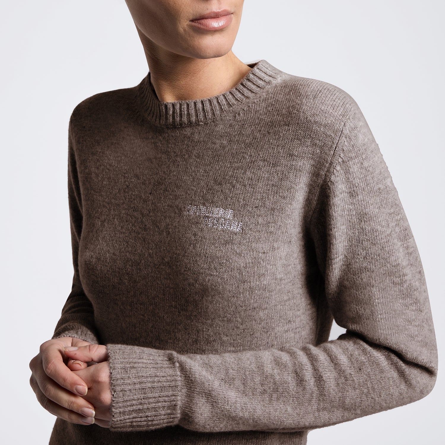 A close-up of a woman wearing a taupe brown knit crewneck sweater with a small white embroidered logo on the left chest, set against a plain light gray background.