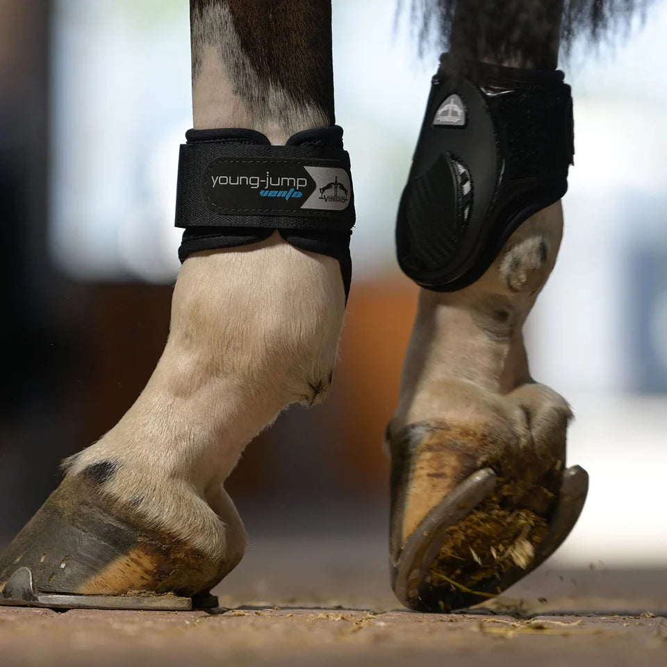 Veredus Young Jump Vento Fetlock Boots