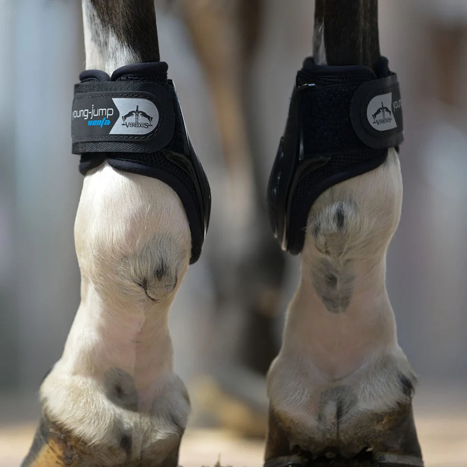 Veredus Young Jump Vento Fetlock Boots