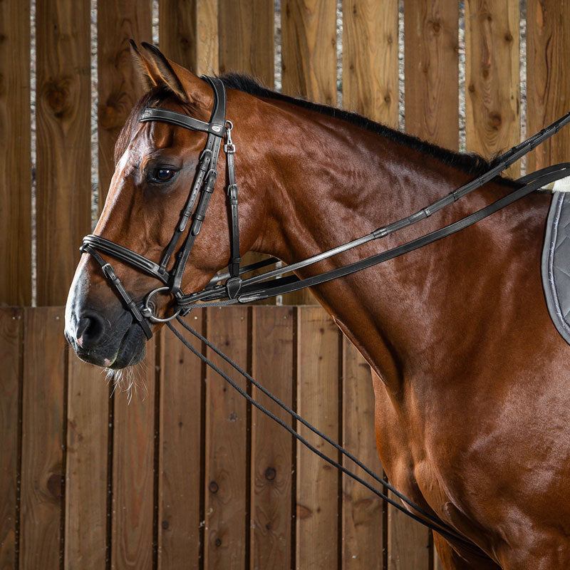 Dy’on Working Collection Leather and Rope Draw Reins