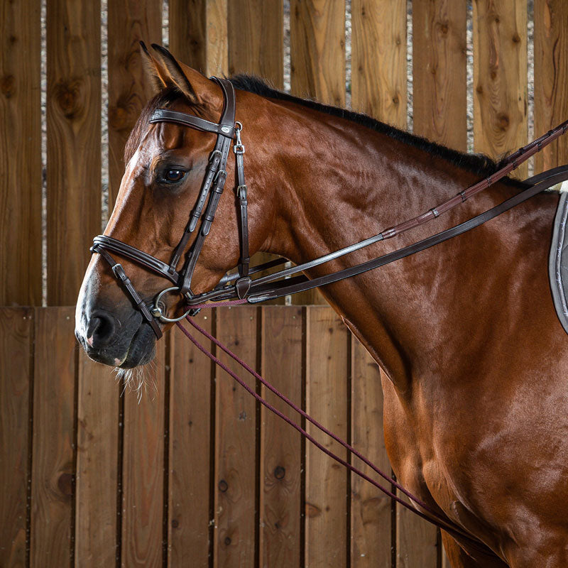 Dy’on Working Collection Leather and Rope Draw Reins