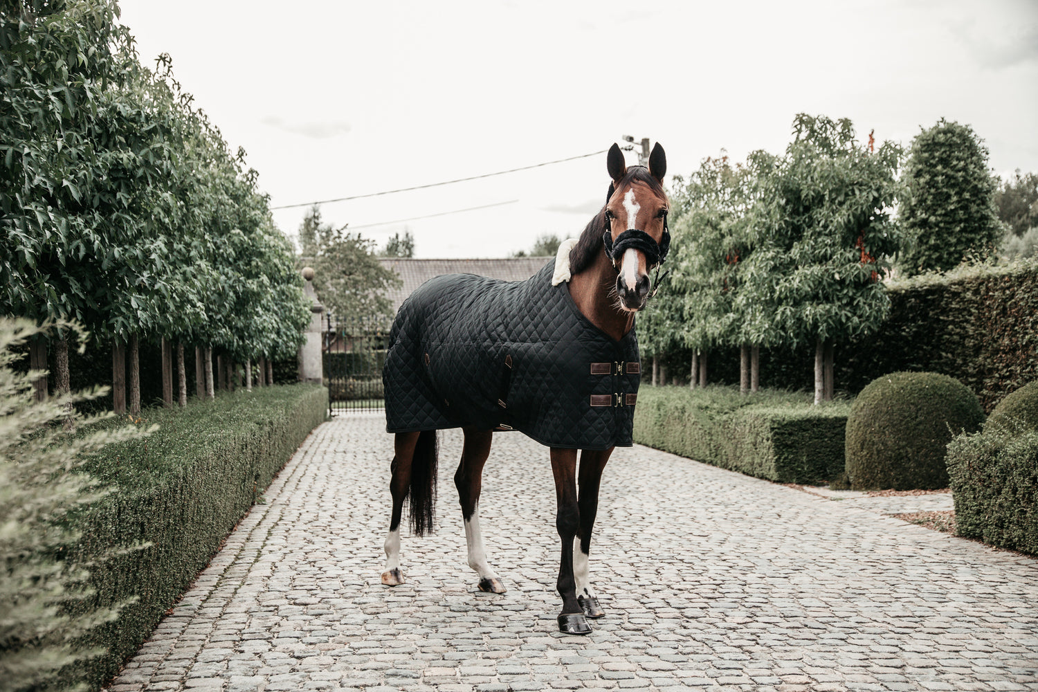The Kentucky Stable Rug 200g is a stand out product from Kentucky Horsewear from their latest range. For any horse this is a very comfortable rug, a must-have for clipped horses or horses with sensitive skin. A lovely product, it is able to offer great warmth and comfort and it’s also a very easy to use rug for any rider. As well as being able to offer warmth, it is also highly breathable thanks to the combination of the materials.