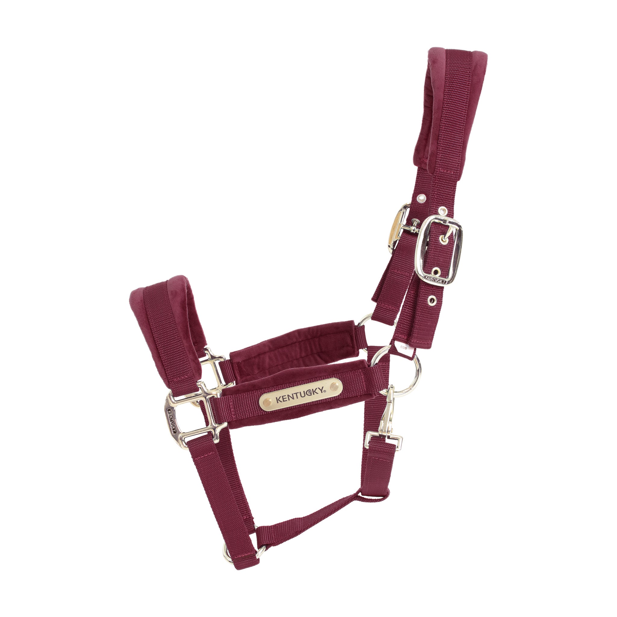 Strong nylon head collar with velvet detailing and a gold plate that can be personalised.
