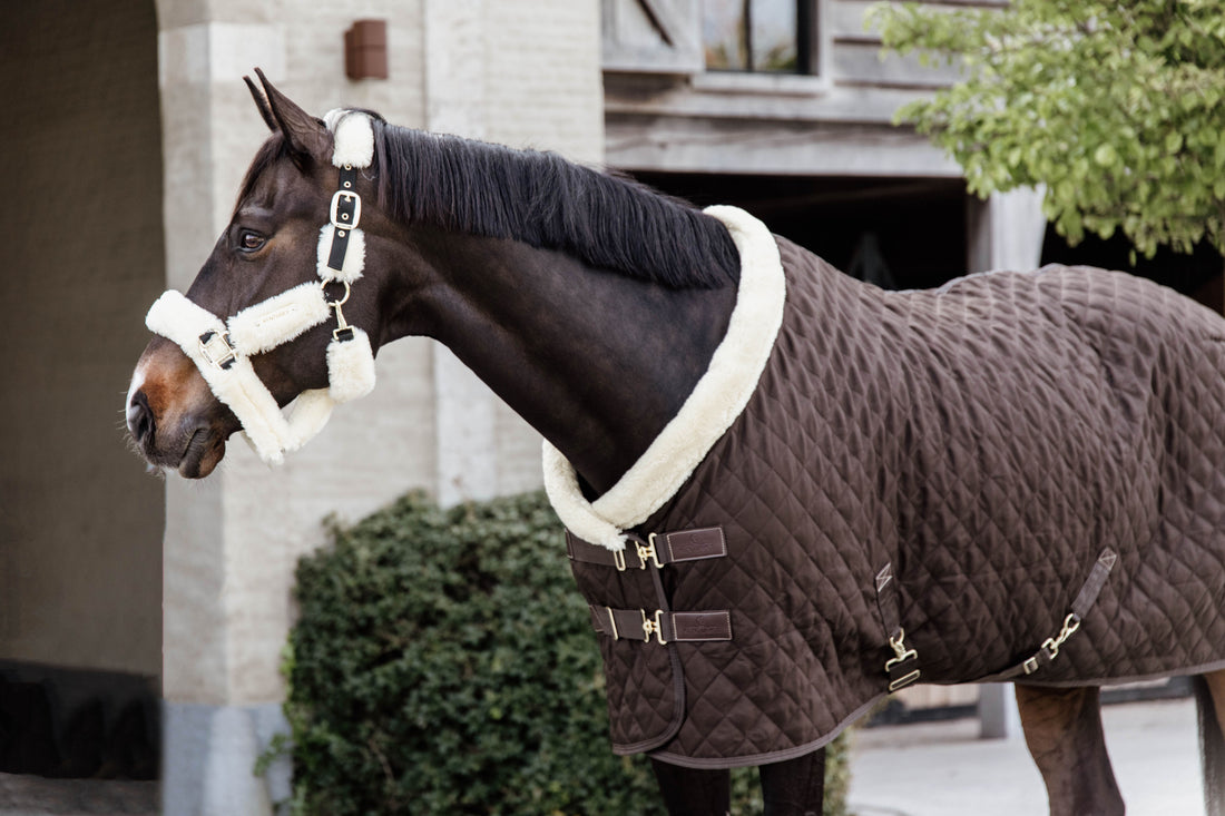 The Show Rug is one of Kentucky’s most iconic products. The rug was designed to have an easy and comfortable rug on competitions. Therefore, the rug is easily adjustable to the needs of your horse. The sophisticated look of the show rug will catch everyone’s eyes at competitions. As the Show Rug also serves as a stable rug, you can unload your horse without worrying about changing rugs. 