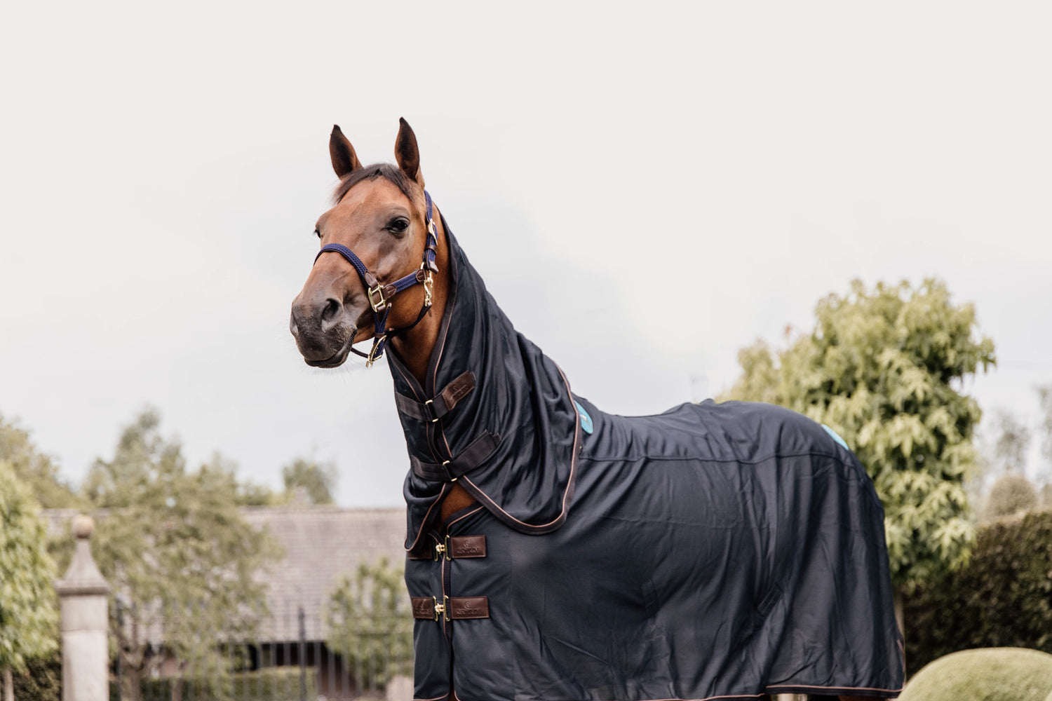 This Magnetic Neck Recuptex uses the same Recuptex fabric technology that has proven to be state of the art. Based on the Bekaert BEKINOX® technology, they contain the finest inox yarn (a stainless-steel fiber) that is woven into the fabric. It creates a Faraday cage which reflects the magnetic fields created in the horse&