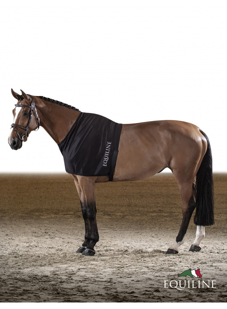 Equiline Under Rug Protection