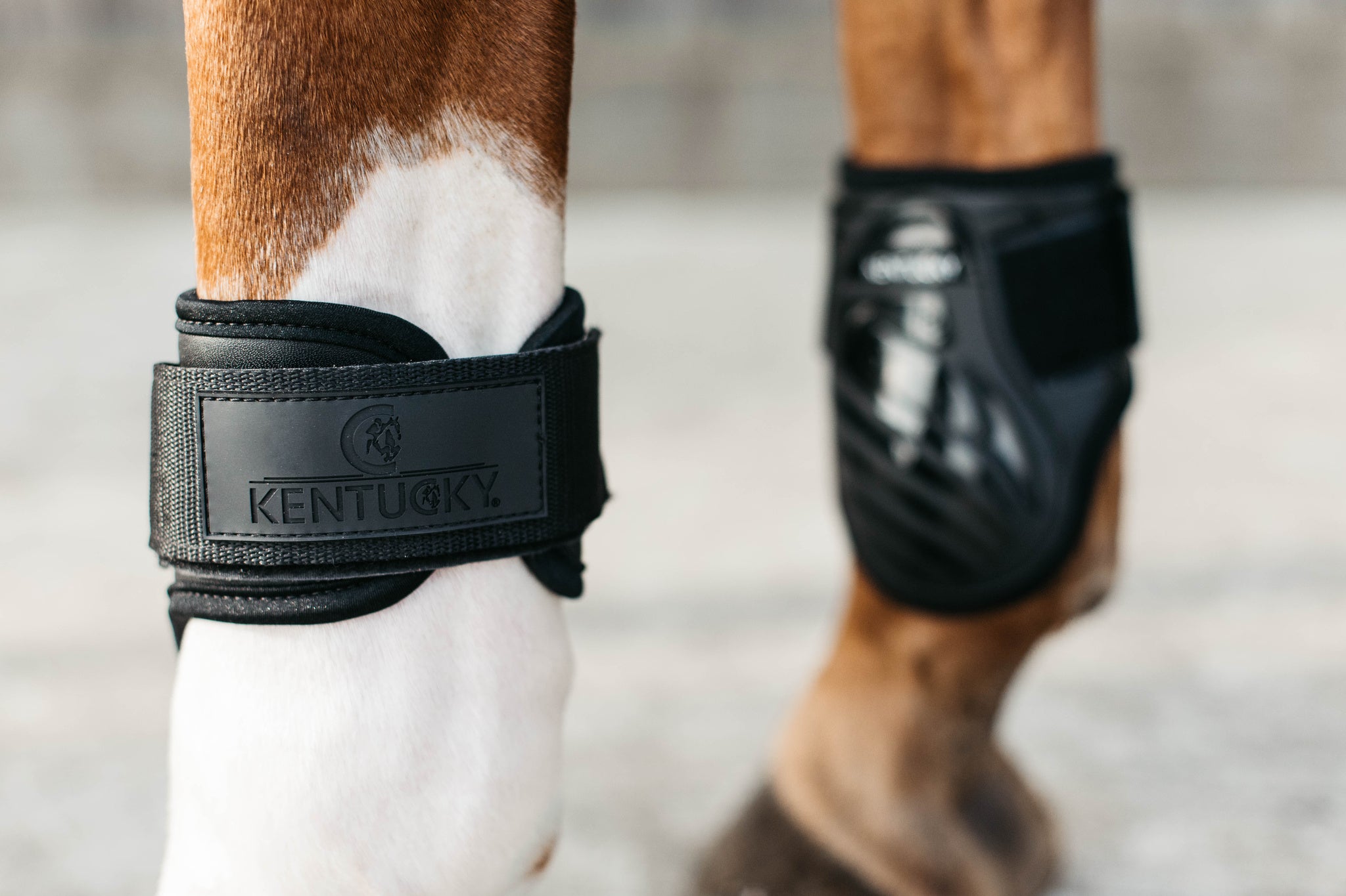 Kentucky Young Horse Fetlock Boots Air are the perfect match for the New Kentucky Tendon Boots Bamboo Shield.   Approved for jumping rounds in both FEI and BS the New Kentucky Young Horse Fetlock Boots Air have a double Velcro fastening helping to keep your boot securely fastened. The secure fastening prevents the boot turning when jumping or exercising and therefore keeps the horses hind legs consistently protected.
