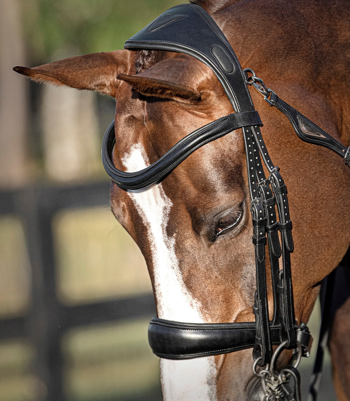The Equiline Anatomical Headpiece. Made in beautiful Italian leather and available in black or brown. This headpiece is designed to relieve poll pressure and is lined with padding to keep your horse comfortable and stress free when being exercised.