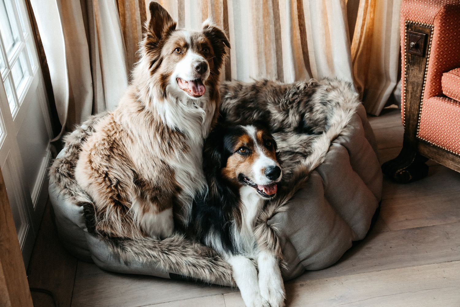 The Kentucky Dog Bed Cave will make your dog feel very cozy and spoiled. Made of comfortable and super soft racoon faux fur on the inside, this bed will ensure your dog feels snug when curling up for a snooze. 