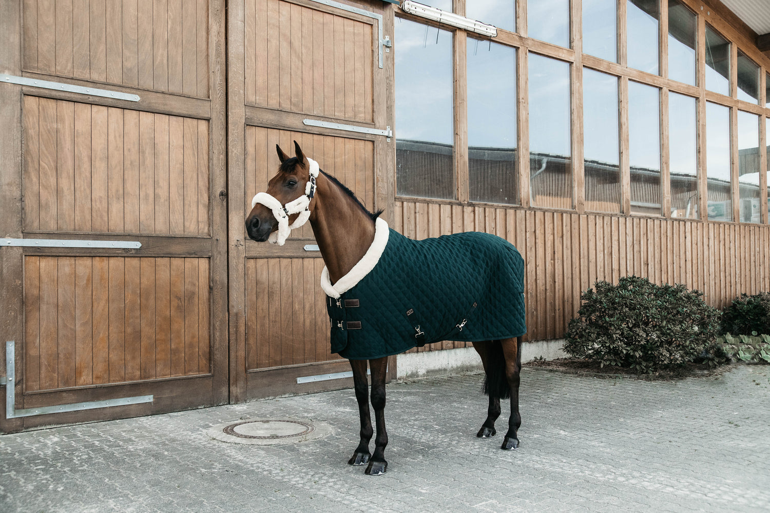 The Kentucky show rug in Green. This stunning show rug in lined with faux rabbit fur to keep your horse shiny and show ready. The filling is 160g to keep your horse warm  and has a sheepskin collar for ultimate comfort and luxury. 