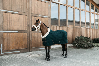The Kentucky show rug in Green. This stunning show rug in lined with faux rabbit fur to keep your horse shiny and show ready. The filling is 160g to keep your horse warm  and has a sheepskin collar for ultimate comfort and luxury. 