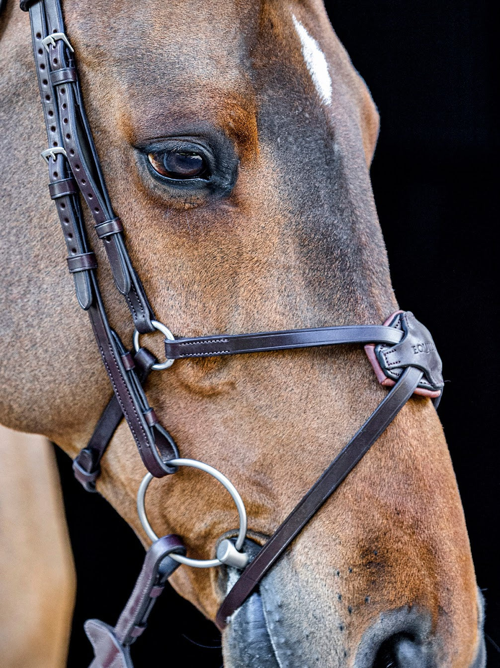 The Equiline Mexican noseband is the perfect grackle for your horse. Made in stunning soft Italian leather and finished with padding over the nose to offer comfort for your horse. 
