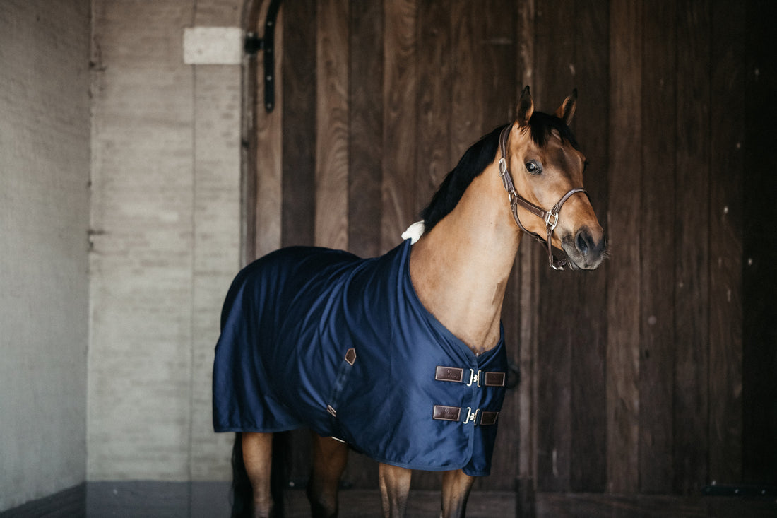 The Kentucky cotton sheet is perfect as the weather gets warmer.    The Cotton Sheet is a practical lightweight luxury horse rug that will keep your horse comfortable during the summer months.  Fitted with Kentucky’s soft artificial sheepskin which is added to the wither only which provides extra comfort and protection for your horse.