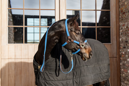 The Plaited Nylon Halter is made of artificial leather (100% animal friendly) and has a nylon braided design. This artificial leather does not absorb water or dirt, does not break or change color. 