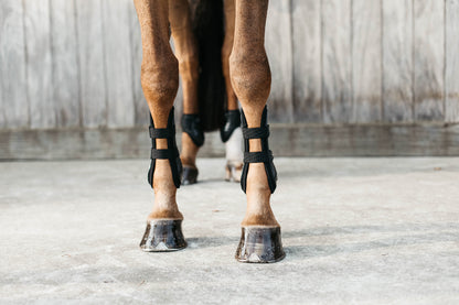 Kentucky Vegan Tendon Boots Bamboo Shield with Elastic fastenings are now available following years of research and development. The Kentucky Bamboo Sheild Supersedes the already very popular Kentucky Tendon Boot.   Bamboo has the best tensile strength and also avoids penetration of sharp objects.  Thanks to great results from testing, the bamboo shield is now used to protect the horse’s tendon area.