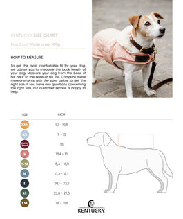 The Kentucky Coral Waterproof Dog Coat  offers every dog a dry, warm rug during the cold and wet winter days. Filled with a warming 160g and also featuring an artificial faux fur lining for extra comfort. This also creates tiny air pockets that trap and retain the body heat of the dog.