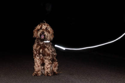 Keep your dog seen at night with the Kentucky reflective dog lead.   Ensure your dog maximum visibility and safety with this Dog Lead Reflective! Strong and comfortable for your dog, this dog lead is 100% reflective while being classy and discrete. The Dog Lead Reflective features a ring to attach our matching Dog Collar Reflective.