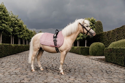 The Saddle Pad Basic Velvet is shaped for jumping and provides excellent cushioning between the horse’s back and the saddle while protecting against friction.