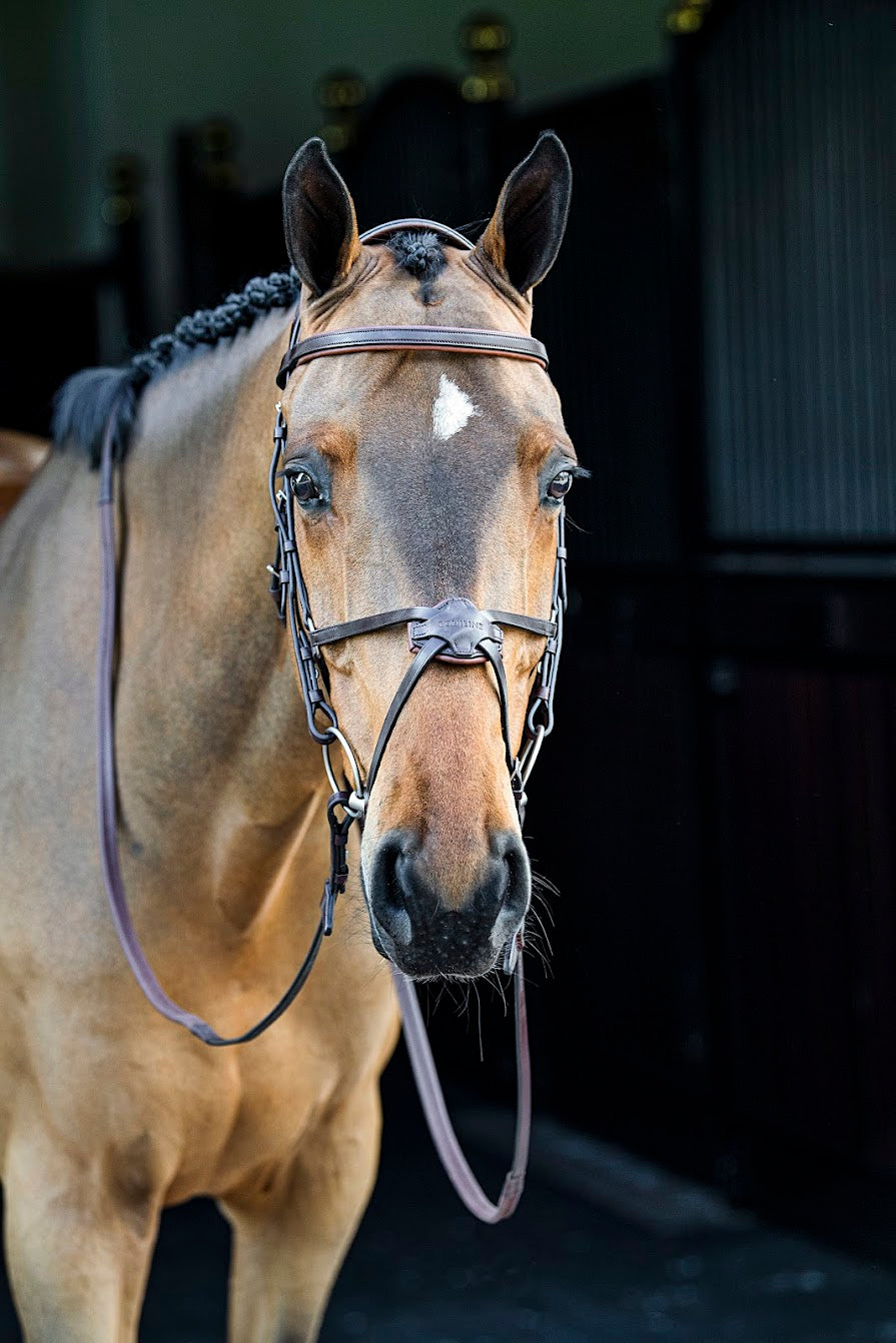 The Equiline Mexican noseband is the perfect grackle for your horse. Made in stunning soft Italian leather and finished with padding over the nose to offer comfort for your horse. 