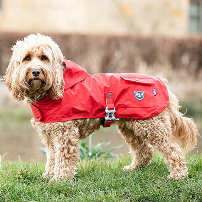The hooded raincoat by Hugo and Hudson is available in red and navy. This coat is water resistant and very lightweight, perfect for rain showers or a light layer.