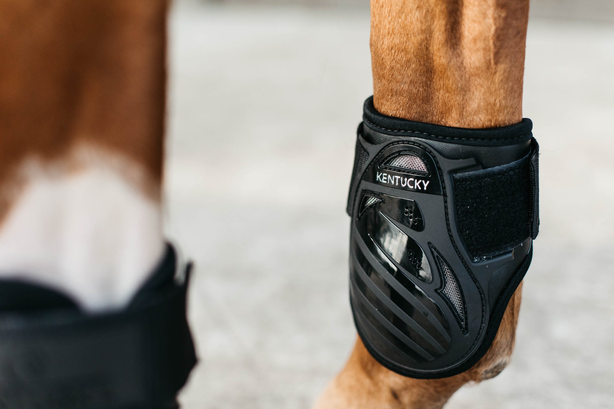 Kentucky Young Horse Fetlock Boots Air are the perfect match for the New Kentucky Tendon Boots Bamboo Shield.   Approved for jumping rounds in both FEI and BS the New Kentucky Young Horse Fetlock Boots Air have a double Velcro fastening helping to keep your boot securely fastened. The secure fastening prevents the boot turning when jumping or exercising and therefore keeps the horses hind legs consistently protected.