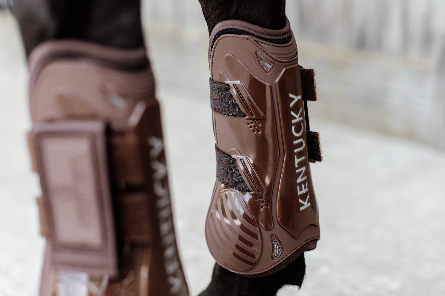 The Kentucky bamboo shield tendon boots with Velcro fastenings. 
