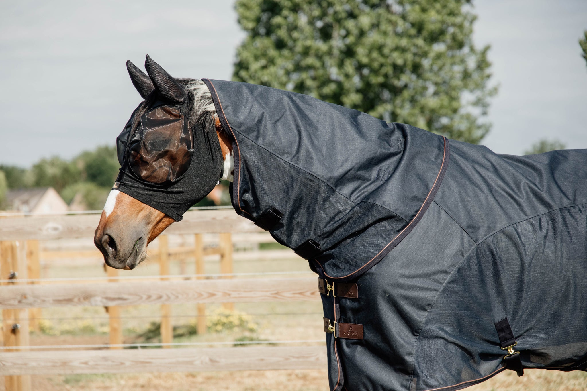 The Waterproof combo fly rug classic protects your horse from flies and rain. The rug is therefore perfect for rainy, yet warmer days from spring through fall. The combination of materials make the rug extremely breathable, so your horse will be comfortable at all times.