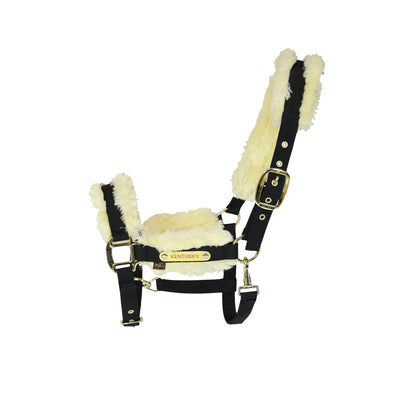 Nylon Sheepskin Halter with artificial sheepskin is for daily use. The halter is made of verystrong nylon in combination with our new artificial sheepskin which is attached directly onto the nylon.