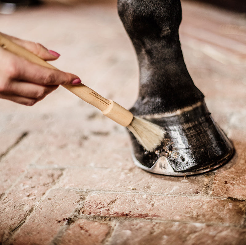 The Kentucky hoof oil brush is made with bamboo in a sculpted shape to make it easy to hold. It is easy to clean and brushes smoothly.
