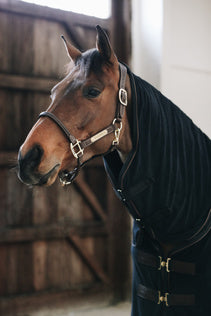 The Kentucky Horsewear Towel Rug is a comfortable and super absorbent towel for horses. The Horse Towel is the perfect rug to dry your horse extremely fast after training and also bathing.