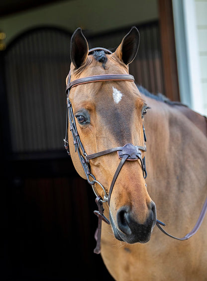 The Equiline brown browband made in stunning Italian leather. This browband is lined with brown padding giving this piece a two tone brown effect for a classy look and also offers maximum comfort for your horse.