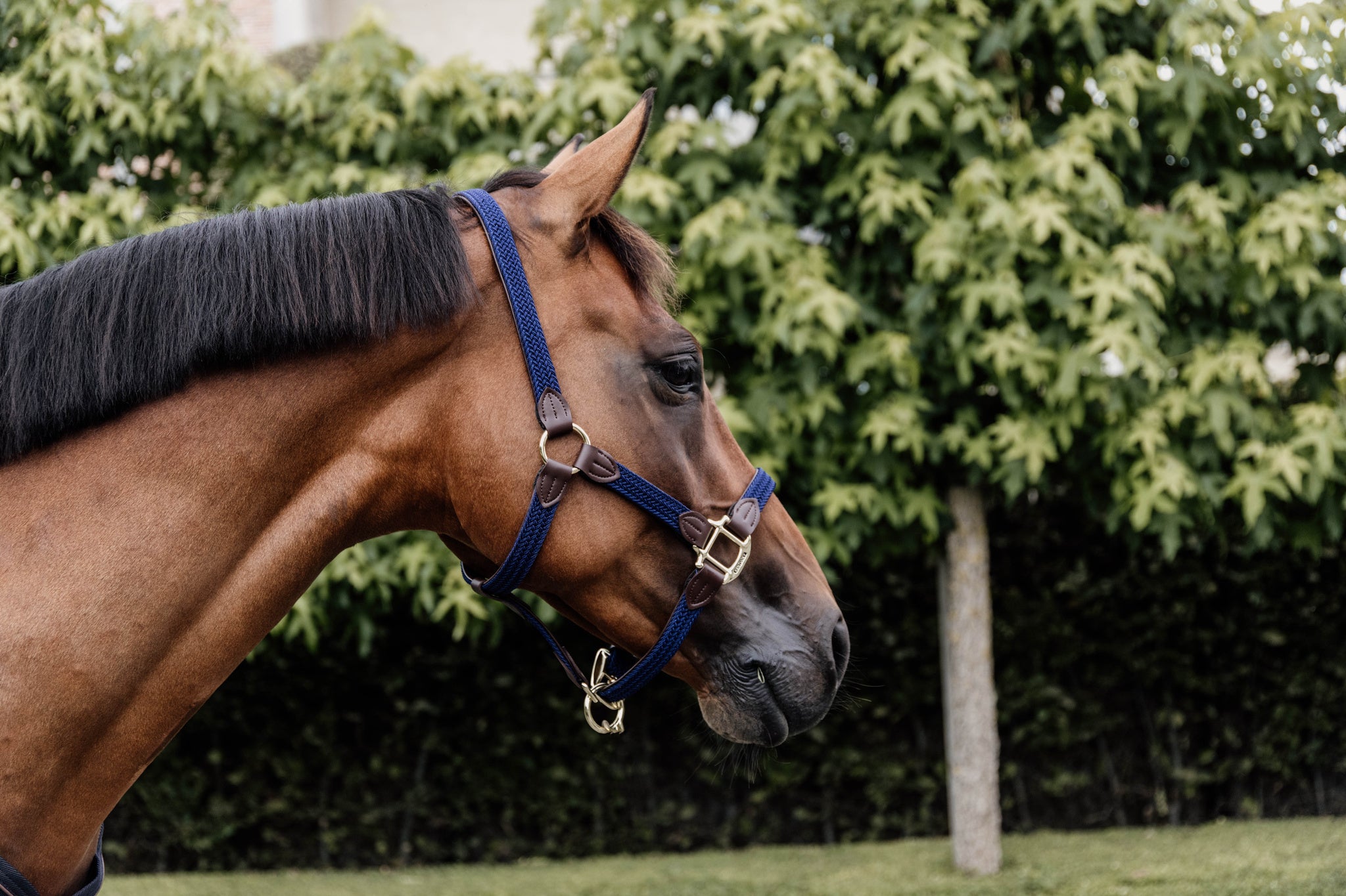 The Plaited Nylon Halter is made of artificial leather (100% animal friendly) and has a nylon braided design. This artificial leather does not absorb water or dirt, does not break or change color. 