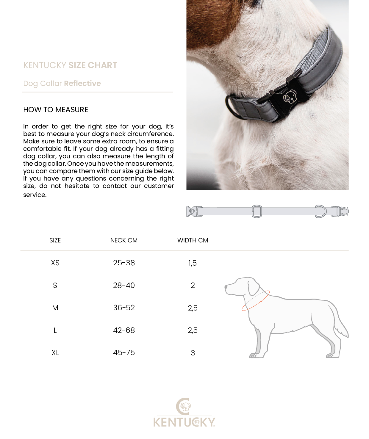  Ensure your dog maximum visibility and safety with the Kentucky Dog Collar Reflective! Strong and comfortable for your dog, this dog collar is 100% reflective while being classy and discrete. The Dog CollarReflective features a ring to attach our matching Dog Lead Reflective . The small hanger with Kentucky Dog Paw logo can be engraved with your details. 