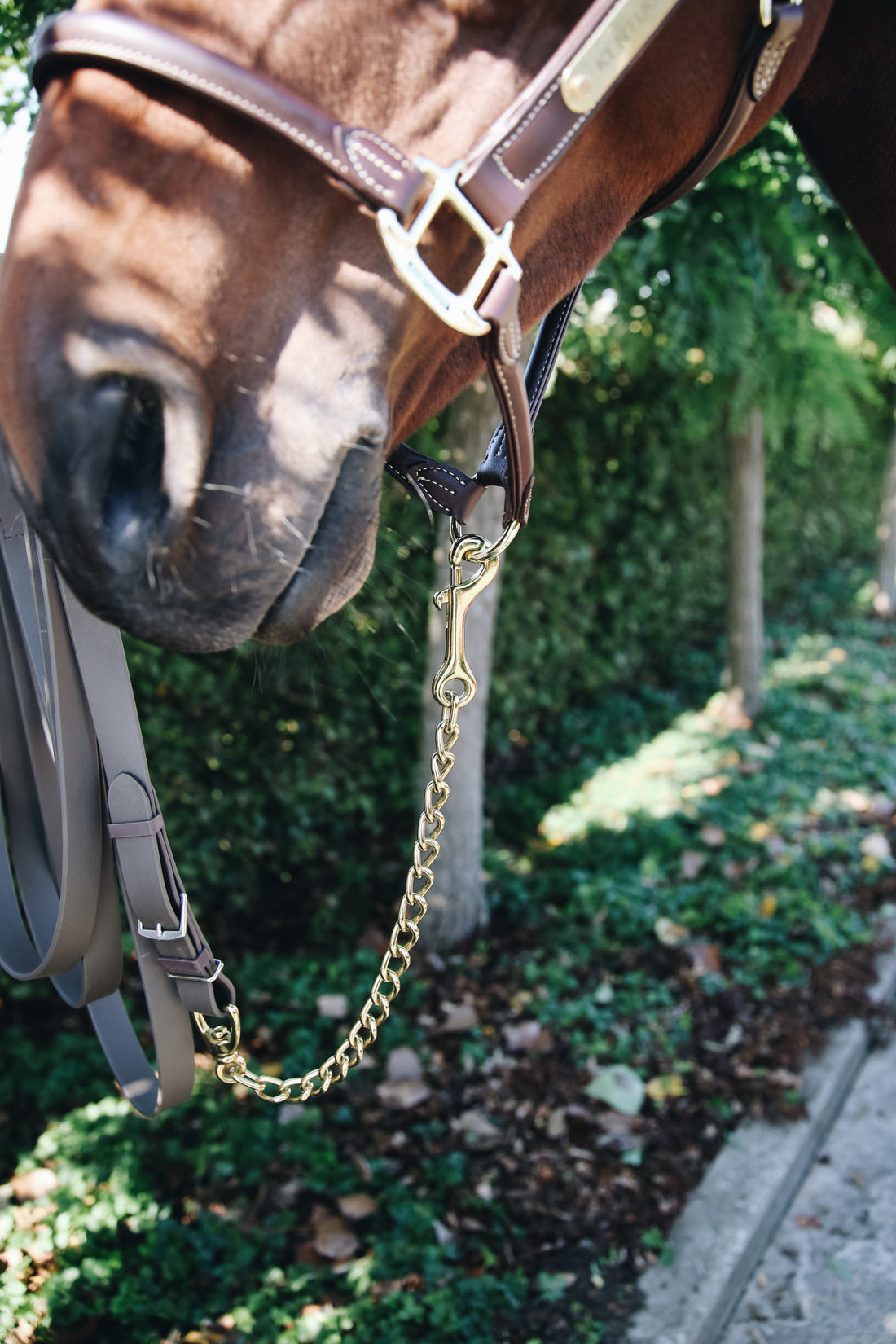 The Kentucky stallion chain is 60cm and finished in gold. This product offers more control when handling a stallion or a horse with a lot of character.