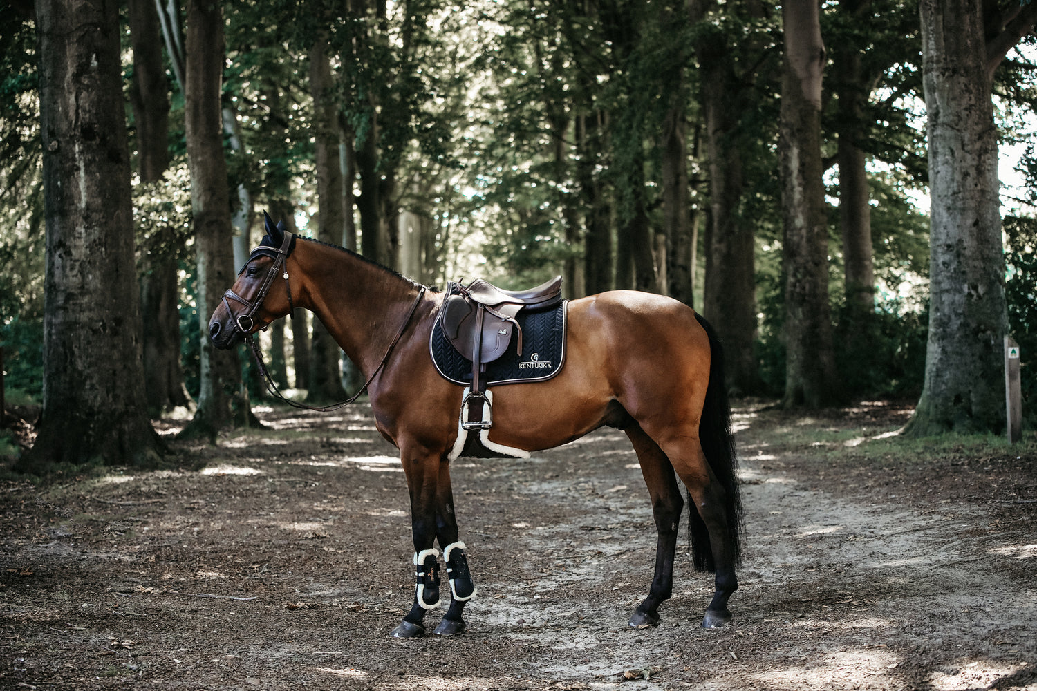 Our Saddle Pad Leather Fishbone is shaped for jumping and provides excellent cushioning between the horse’s back and the saddle while protecting against friction. This saddle pad has a unique fishbone quilting. It has no annoying straps to attach to the saddle, only a nylon strap for the girth. The Saddle Pad Leather Fishbone features a very classy leather binding and the stylish Kentucky logo