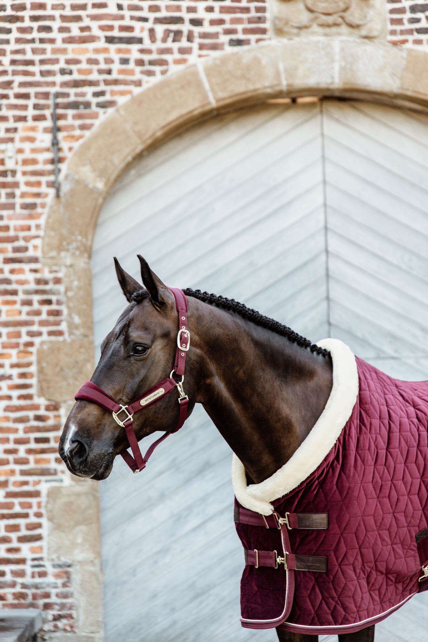 The Kentucky Velvet show rug in the shade Bordeaux.  This rug is made with 160g filling, and lined with faux rabbit fur lining to give your horse the perfect shiny coat.   Finished with a cream sheepskin binding round the front of the rug, to help prevent rubbing on the chest, neck and mane.