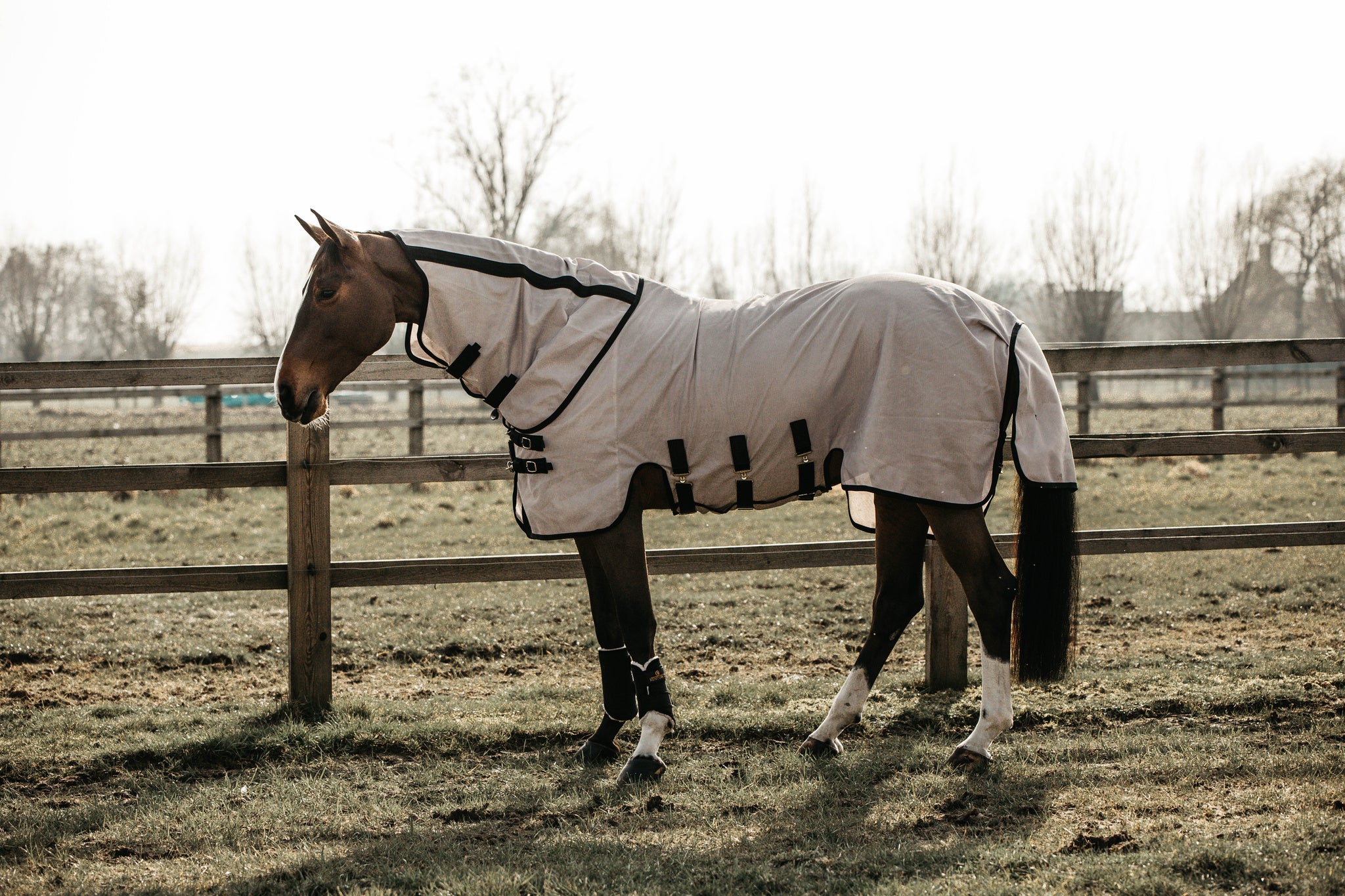 Get rid of any irritations caused by insects with the Kentucky Mesh Fly Rug.