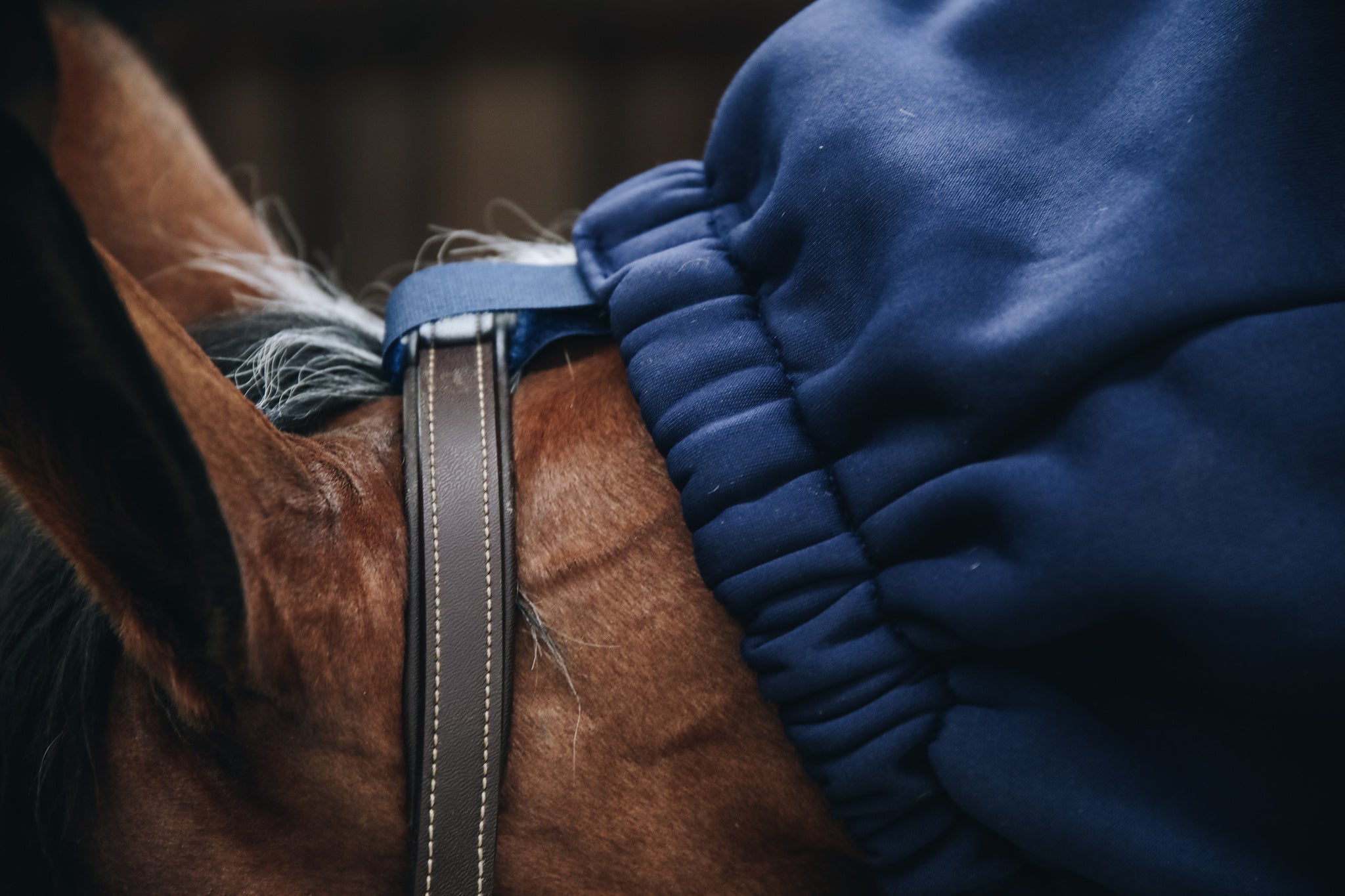 This Kentucky Cooler Fleece Horse Scarf brings all the key benefits of the Kentucky Rug range to your horse’s neck. This scarf uses the same fabric as their cooler rug, therefore ideal to dry your horse after riding or bathing. Another great time to use is simply in the stable on colder days. It is very breathable, which makes it perfectly suited during transport.