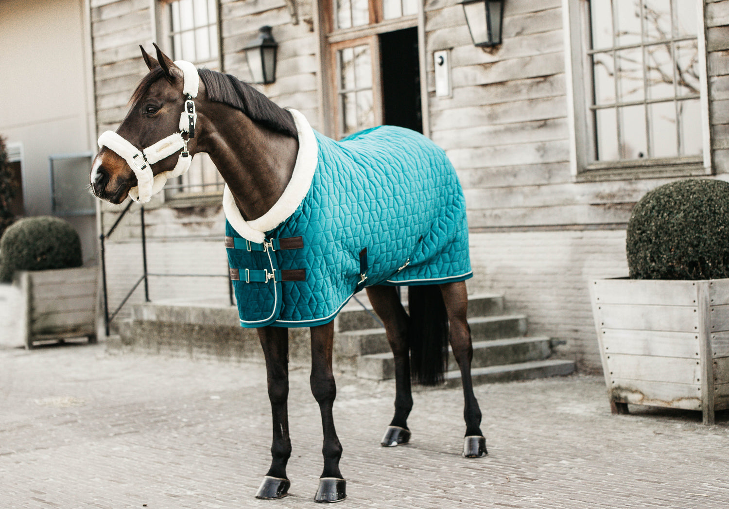 The Kentucky show rug just got even more luxurious. The Kentucky Velvet Show Rug is perfect for shows and training. 