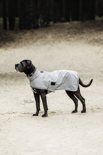 The Kentucky dog rain coat. This coat is reflective and waterproof, sure to keep your dog safe and dry through the winter. It is lightweight and breathable to protect your dog from bad weather, when they may not need an extra layer or too much warmth.