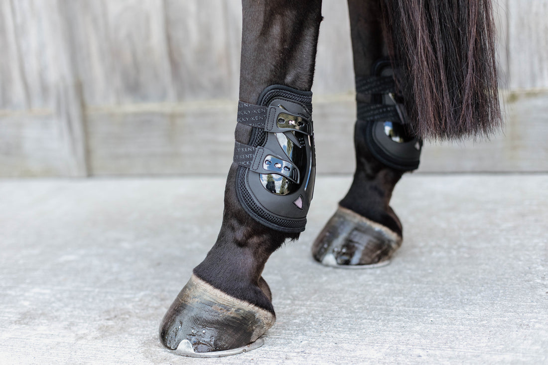  These Kentucky moon boots feature  Two straps for added flick Naturally improves the hind action To make them careful behind