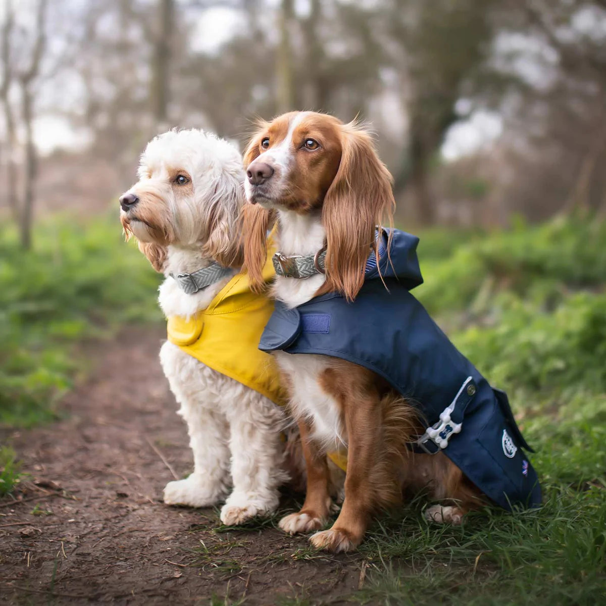 The hooded raincoat by Hugo and Hudson is available in red and navy. This coat is water resistant and very lightweight, perfect for rain showers or a light layer.