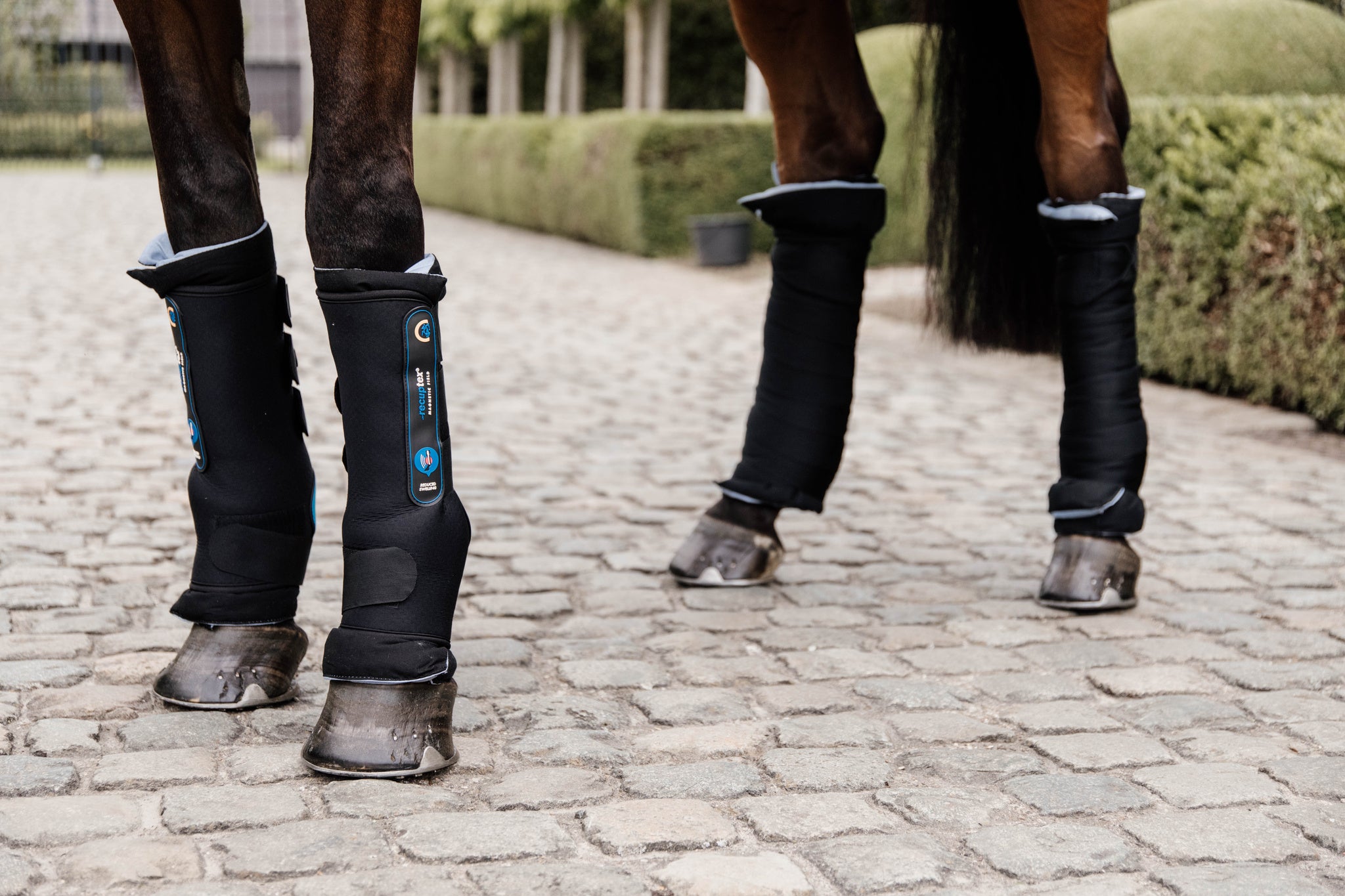 Kentucky  Magnetic Therapy Recuptex Stable Boot