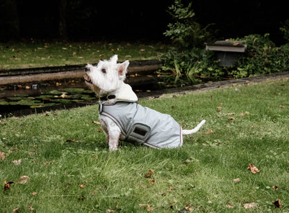 The Kentucky Grey Waterproof Dog Coat  offers every dog a dry, warm rug during the cold and wet winter days. Filled with a warming 160g and also featuring an artificial faux fur lining for extra comfort. This also creates tiny air pockets that trap and retain the body heat of the dog.