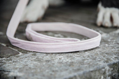 The Kentucky Velvet dog lead is made from a luxury soft yet durable velvet. The lead is lined with nylon for added strength.  Self handle and gold clip for attachment to collar. 