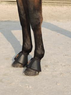 The Kentucky bell overreach boots in artificial leather. These have a slick look and super easy to clean. With a foam padding and strong Velcro fastening, these over reach boots are durable and comfortable for your horse.